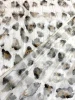 Курточная ткань ЛЕОПАРДОВЫЕ ПЯТНЫШКИ серо-песочные