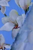Креп стрейч Цветы весны 4