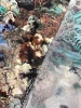 Шелк натуральный ЗАОБЛАЧНАЯ ФЛОРА зеленый