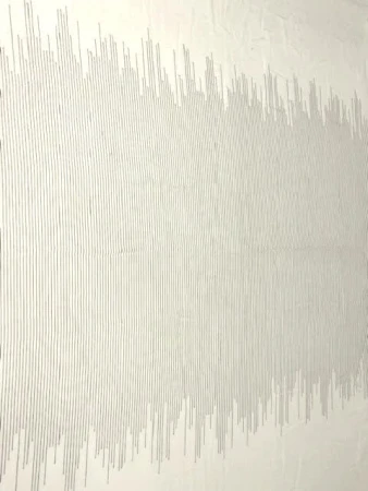 Шифон ДЕКОРАТИВНЫЕ СТРОЧКИ