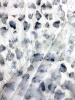 Курточная ткань ЛЕОПАРДОВЫЕ ПЯТНЫШКИ серо-голубые на молочном