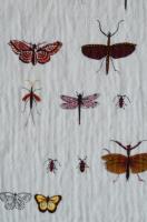 Креп плательно - блузочный Милые насекомые цвет молочный 1