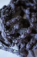 Тесьма ТД-0024