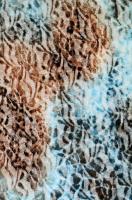 Гипюр МНОГОЦВЕТИЕ Гипюр МНОГОЦВЕТИЕ