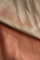 хамелеон цвет бирюзово - коралловый 1