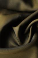 хамелеон, цвета болотный с черным 1