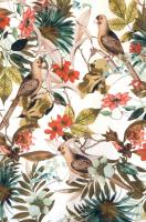 Хлопок компаньон ПТИЧКИ