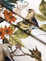 Хлопок компаньон ПТИЧКИ