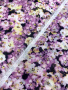 Батист МЕЛКИЕ ЦВЕТОЧКИ сиреневые