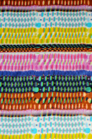 Бифлекс "Полоски цветные"