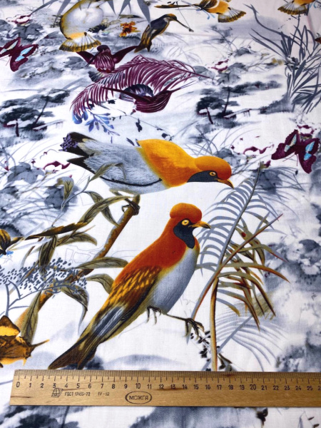 Батист ПТИЦЫ