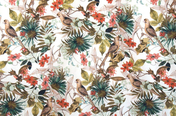 Хлопок компаньон ПТИЧКИ