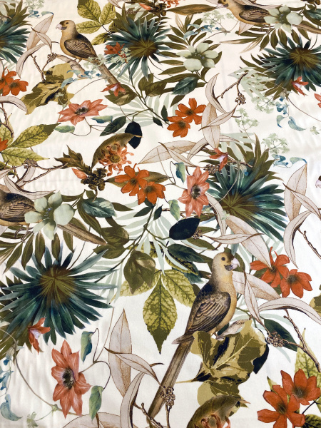 Хлопок компаньон ПТИЧКИ