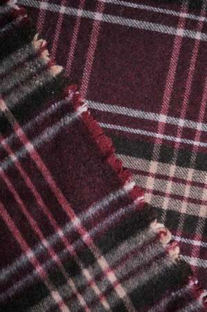 шотл борд-шок 4