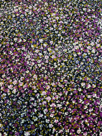 Трикотаж ЦВЕТОЧНОЕ ПШЕНО полотно