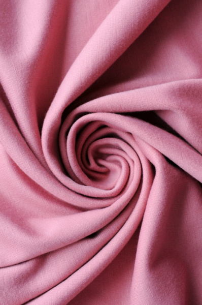 миланопыльная роза 2