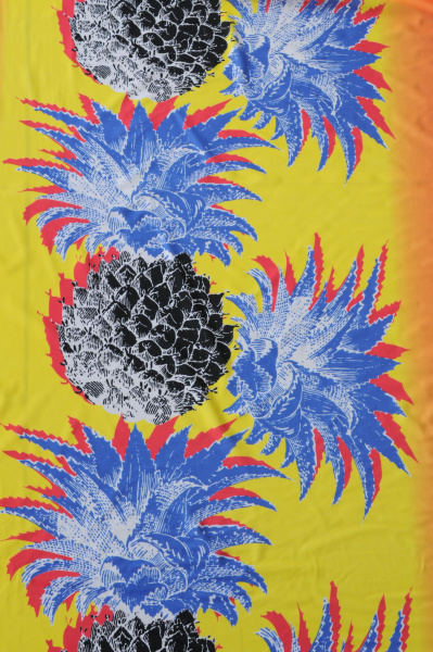 Бифлекс для купальников Крупные ананасы 2