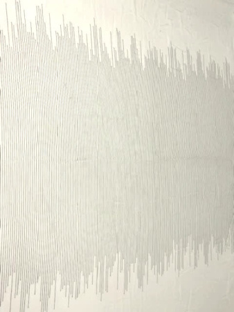 Шифон ДЕКОРАТИВНЫЕ СТРОЧКИ