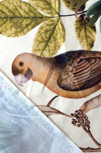 Хлопок компаньон ПТИЧКИ