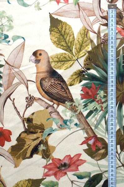 Хлопок компаньон ПТИЧКИ