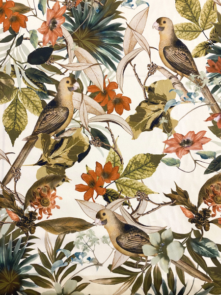 Хлопок компаньон ПТИЧКИ