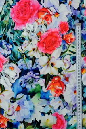 сады цветут 1