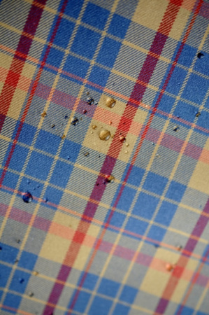 Курточная ткань Блэк Уотч 1