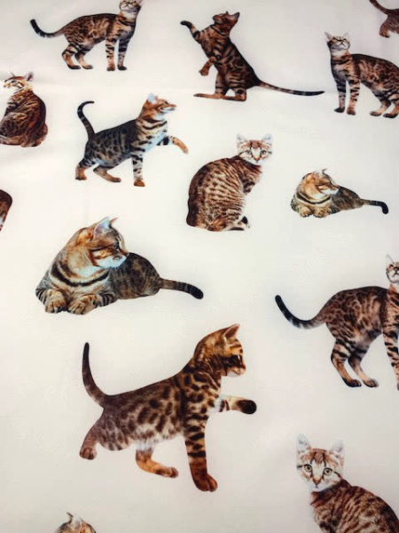 Креп "Кошечки" белый