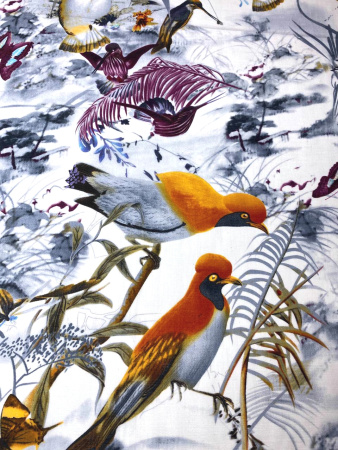 Батист ПТИЦЫ