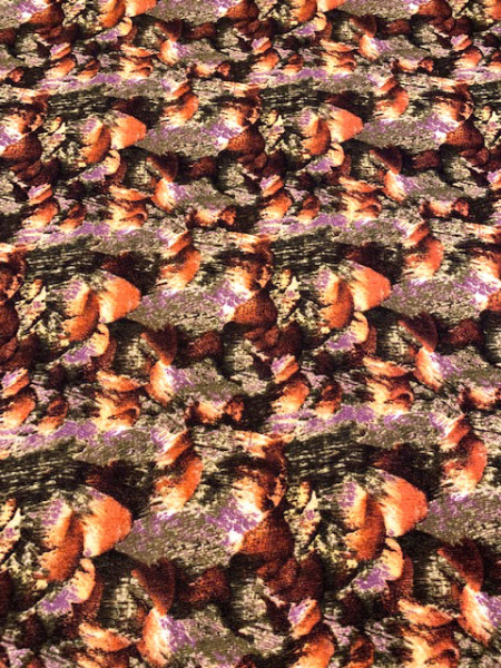 Трикотаж принт №1 полотно