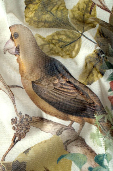 Сетка-компаньон ПОПУГАЙЧИКИ трикотаж