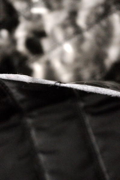 Курточная ткань стежка ДЫМЧАТЫЕ РОЗЫ 4