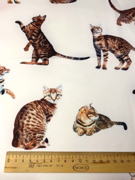 Креп "Кошечки" белый